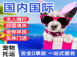 阿拉善右旗巴丹吉林机场物流国际宠物托运 【国